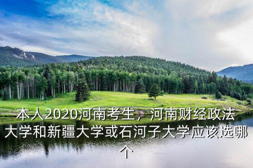 本人2020河南考生，河南財經政法大學和新疆大學或石河子大學應該選哪個