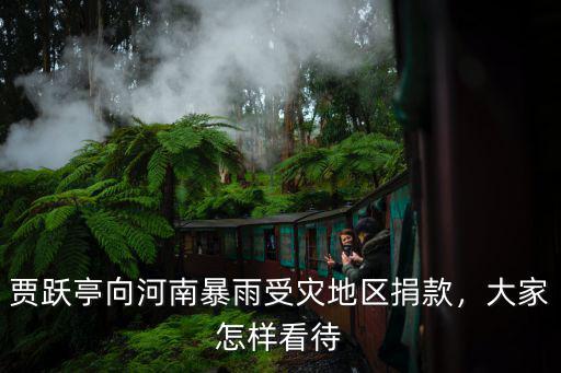 郎平向河南捐款多少,郎平向武漢捐贈數十臺呼吸機