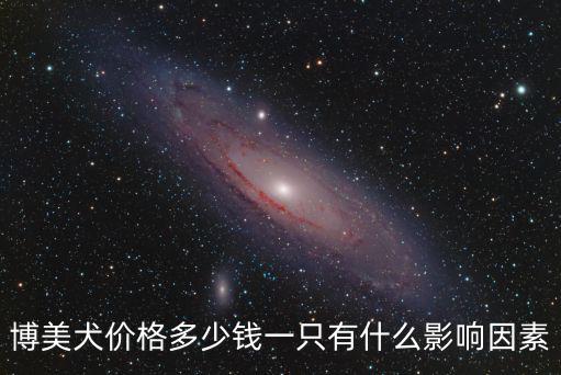 博美犬價格多少錢一只有什么影響因素