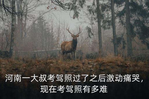 河南一大叔考駕照過了之后激動痛哭，現在考駕照有多難