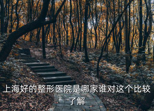 上海好的整形醫(yī)院是哪家誰(shuí)對(duì)這個(gè)比較了解