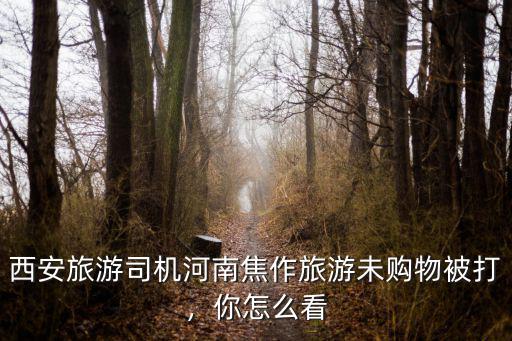 西安旅游司機河南焦作旅游未購物被打，你怎么看
