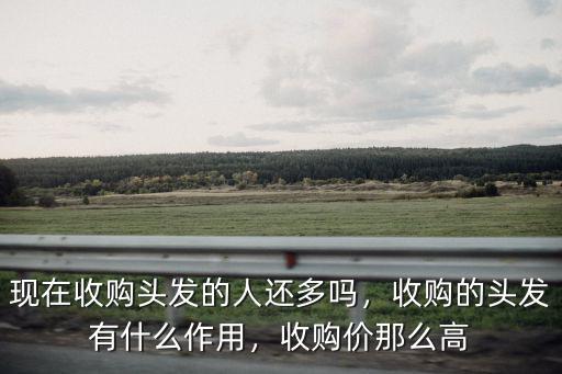 現在收購頭發的人還多嗎，收購的頭發有什么作用，收購價那么高