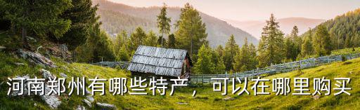 河南鄭州有哪些特產，可以在哪里購買