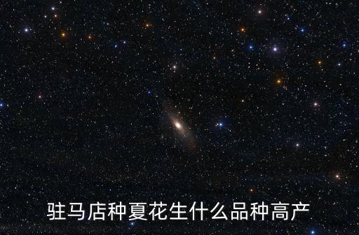 駐馬店種花生怎么樣,駐馬店種夏花生什么品種高產(chǎn)