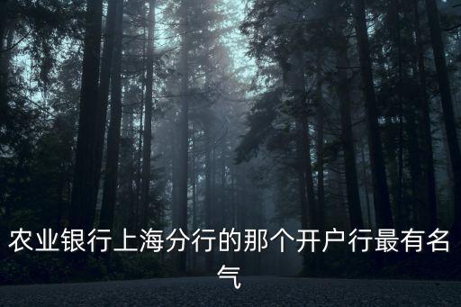 農業銀行上海分行的那個開戶行最有名氣