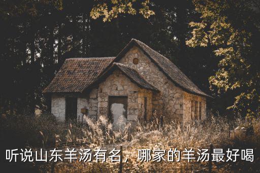 聽說山東羊湯有名，哪家的羊湯最好喝