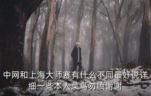 中網和上海大師賽有什么不同最好說詳細一些本人菜鳥勿噴謝謝