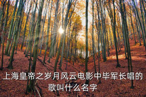 上海皇帝之歲月風(fēng)云電影中畢軍長唱的歌叫什么名字