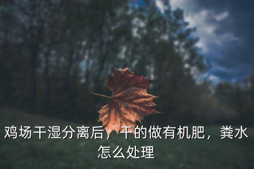 許昌雞場糞便怎么處理,蛋雞雞場糞便怎么能完全處理