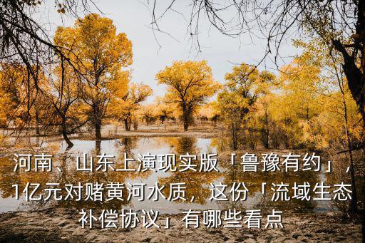 河南、山東上演現實版「魯豫有約」，1億元對賭黃河水質，這份「流域生態補償協議」有哪些看點