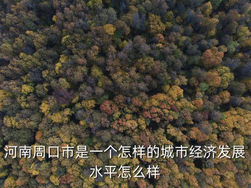 周口市怎么樣啊,經濟發展水平怎么樣