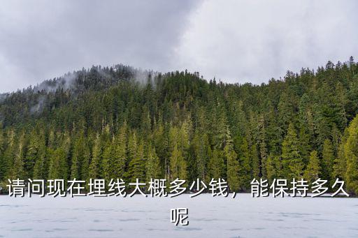 商丘埋線多少錢,請問現在埋線大概多少錢