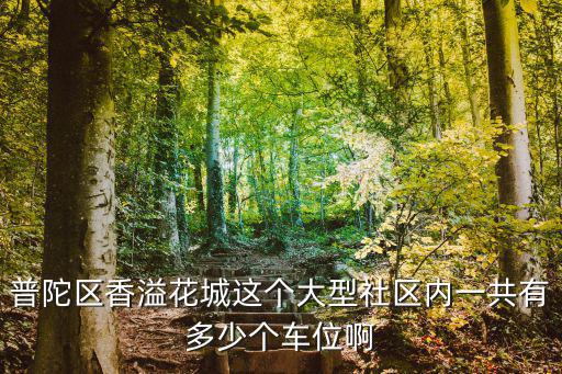 普陀區(qū)香溢花城這個(gè)大型社區(qū)內(nèi)一共有多少個(gè)車(chē)位啊