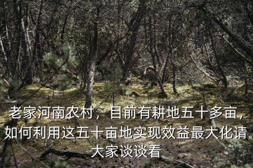 老家河南農村，目前有耕地五十多畝，如何利用這五十畝地實現效益最大化請大家談談看