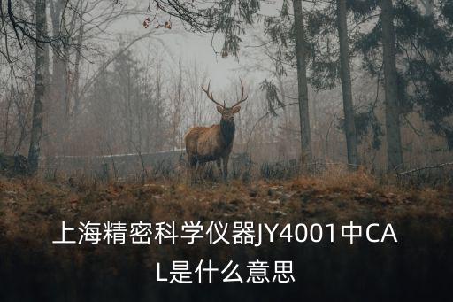 上海精密科學(xué)儀器JY4001中CAL是什么意思