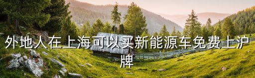 外地人在上海可以買新能源車免費上滬牌