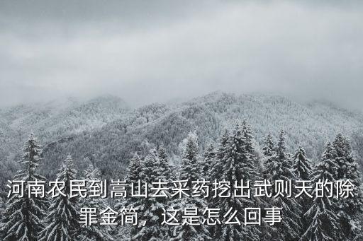 河南農(nóng)民到嵩山去采藥挖出武則天的除罪金簡，這是怎么回事