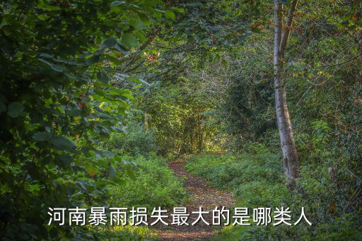 河南暴雨損失最大的是哪類人