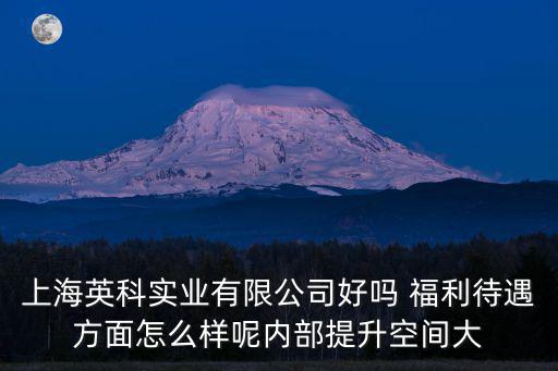 上海英科實業有限公司，英科實業怎么樣