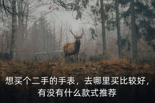 南陽哪里有二手手表,想買個二手的手表