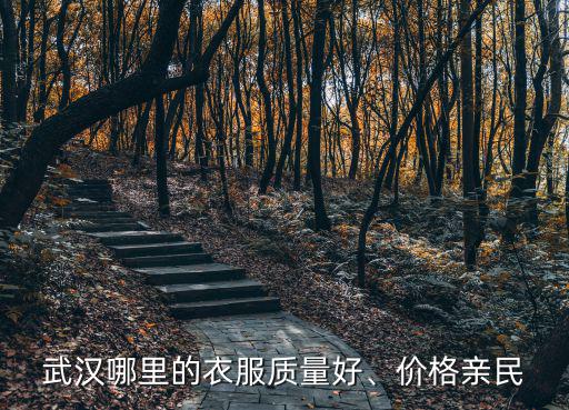 武漢哪里的衣服質(zhì)量好、價(jià)格親民