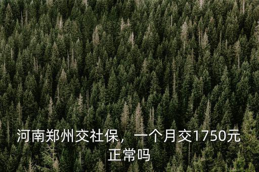 鄭州一家公司交社保怎么樣,想要掛靠在一家公司交社保