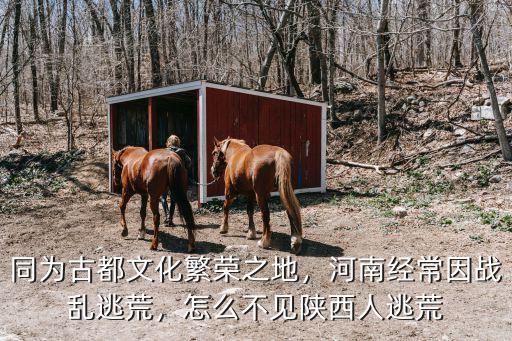 同為古都文化繁榮之地，河南經常因戰亂逃荒，怎么不見陜西人逃荒