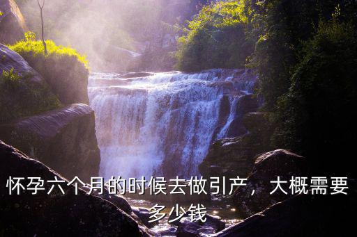 懷孕六個月的時候去做引產，大概需要多少錢