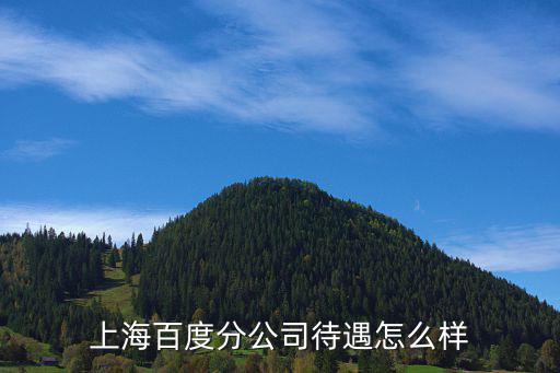 上海百度分公司待遇怎么樣