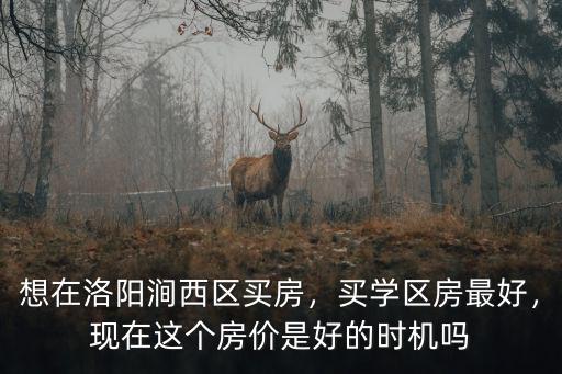 想在洛陽澗西區(qū)買房，買學(xué)區(qū)房最好，現(xiàn)在這個房價是好的時機嗎