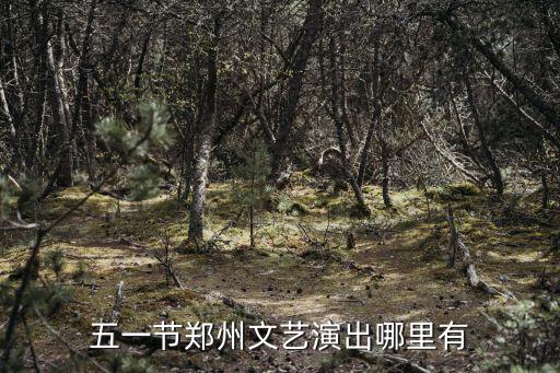 鄭州哪里有文創基地,五一節鄭州文藝演出哪里有