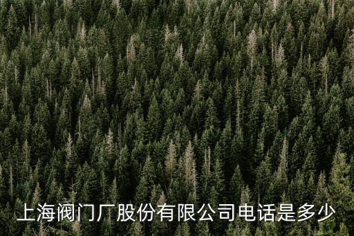 上海閥門廠股份有限公司電話是多少