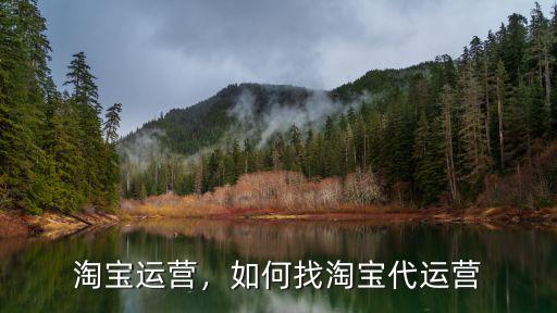 安陽怎么開淘寶店天貓代運營,如何找淘寶代運營