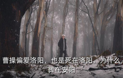 洛陽秦始皇陵墓在哪里,秦始皇的陵墓在哪里
