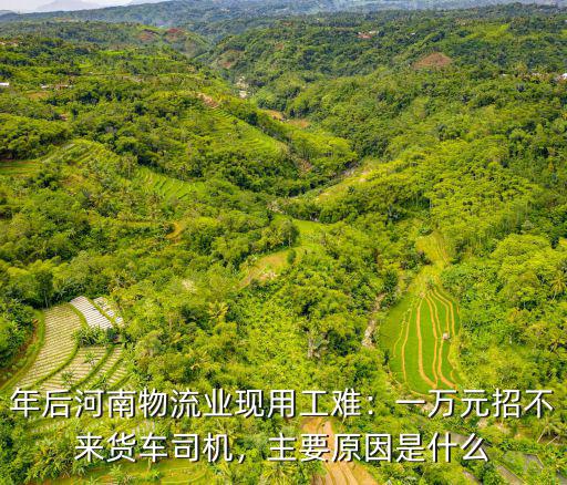 年后河南物流業(yè)現(xiàn)用工難：一萬元招不來貨車司機，主要原因是什么