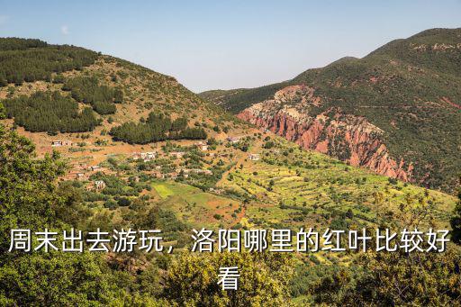 周末出去游玩，洛陽哪里的紅葉比較好看