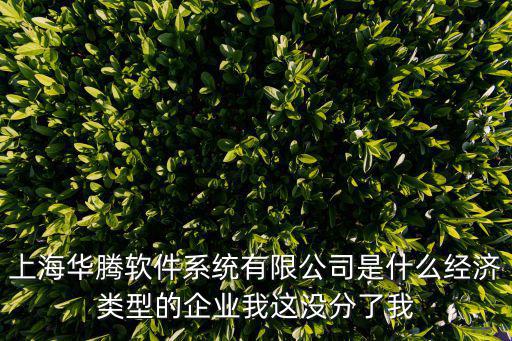 上海華騰軟件系統有限公司是什么經濟類型的企業我這沒分了我