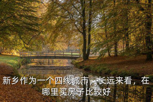 新鄉作為一個四線城市，長遠來看，在哪里買房子比較好