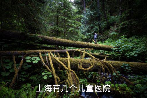 上海市兒科醫院，上海哪個兒科醫院最好