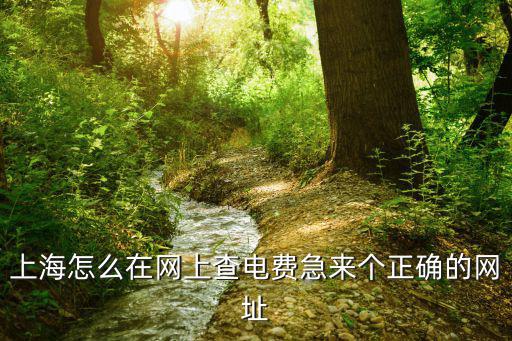 上海怎么在網(wǎng)上查電費(fèi)急來個(gè)正確的網(wǎng)址