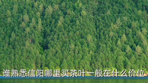 誰熟悉信陽哪里買茶葉一般在什么價位