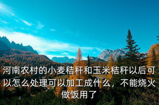 河南農(nóng)村的小麥秸稈和玉米秸稈以后可以怎么處理可以加工成什么，不能燒火做飯用了