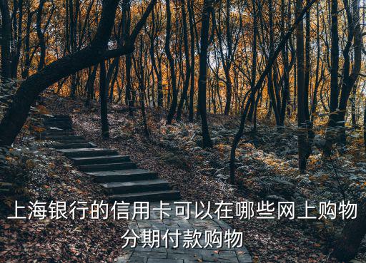 上海銀行的信用卡可以在哪些網上購物分期付款購物