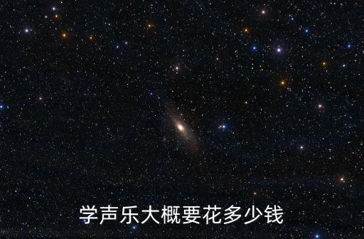 學(xué)聲樂大概要花多少錢