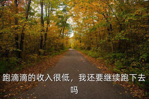 跑滴滴的收入很低，我還要繼續跑下去嗎