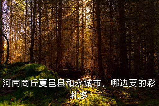 河南省夏邑縣是怎么來的,河南省夏邑縣為什么有孔子像