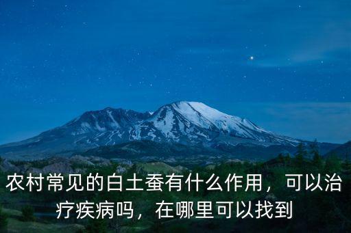 農(nóng)村常見的白土蠶有什么作用，可以治療疾病嗎，在哪里可以找到