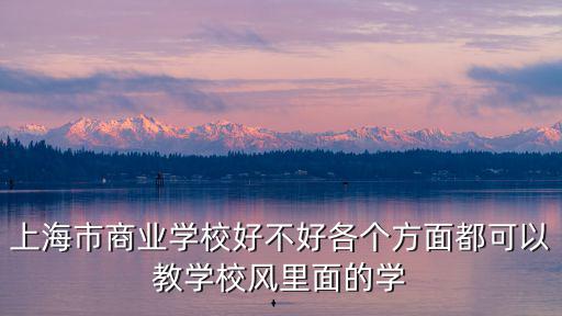 上海市商業(yè)學校好不好各個方面都可以教學校風里面的學