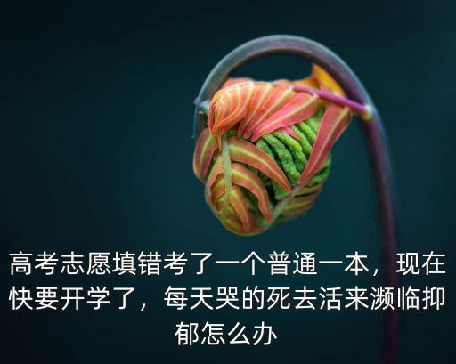 河南高考志愿填錯了怎么辦,高考志愿填錯了會后悔嗎